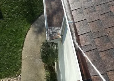 Window Washing Services (11)