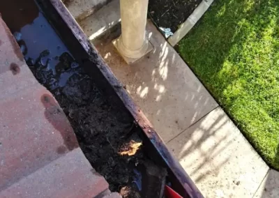 Window Washing Services (13)