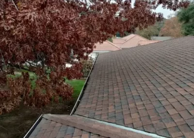 Window Washing Services (3)