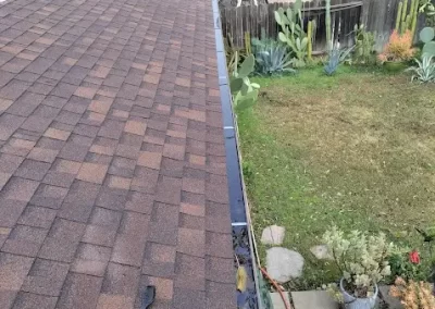 Window Washing Services