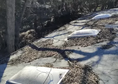 Window Washing Services (5)