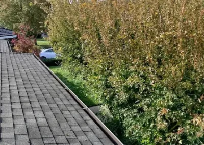 Window Washing Services (8)